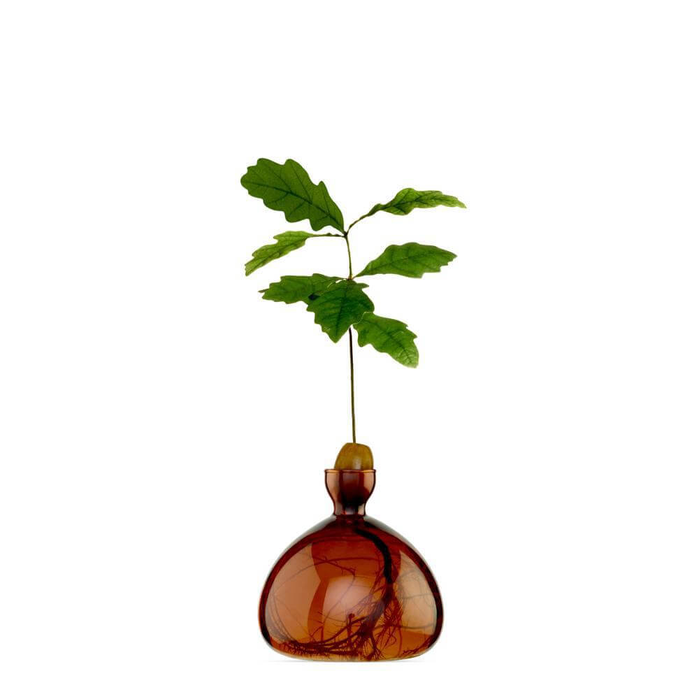 Ilex Studio Acorn Vase